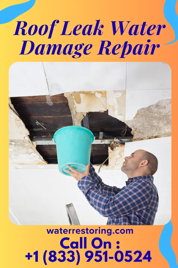 Roof Leak Water Damage Repair in Plano, TX